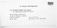 Image Associated With the Occurrence